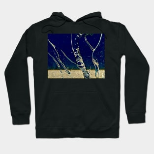 Transurfing Reality Hoodie